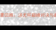 中国羽毛球赛事全景回顾汤尤杯巅峰对决与超级联赛技术革新