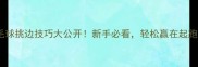 羽毛球挑边技巧大公开新手必看轻松赢在起跑线