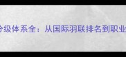 世界羽毛球赛事分级体系全从国际羽联排名到职业巡回赛等级划分