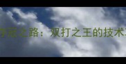 乒乓球T2联赛田志希夺冠之路双打之王的技术革新与赛事影响深度