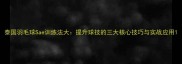 泰国羽毛球Sae训练法大提升球技的三大核心技巧与实战应用