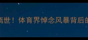 阿根廷传奇球星意外离世体育界悼念风暴背后的职业运动员保障启示