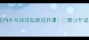 芜湖零基础速成室内乒乓球馆私教班开课青少年成人体校生都能学