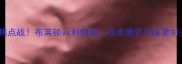 英超焦点战布莱顿vs利物浦战术博弈与球星对决全