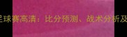 塞尔维亚vs智利足球赛高清比分预测战术分析及比赛亮点全回顾