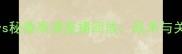 卡塔尔世界杯法国vs秘鲁高清直播回放战术与关键球员表现全记录
