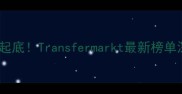 欧洲杯前丹麦球员身价大起底Transfermarkt最新榜单深度附TOP10球员数据