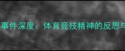 羽毛球消极比赛事件深度体育竞技精神的反思与行业规范重构