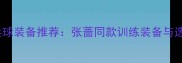 最新乒乓球装备推荐张蔷同款训练装备与选购指南