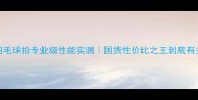 B3000羽毛球拍专业级性能实测国货性价比之王到底有多香