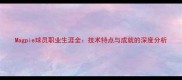 Magpie球员职业生涯全技术特点与成就的深度分析