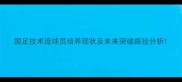 国足技术流球员培养现状及未来突破路径分析