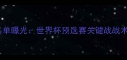 冰岛vs克罗地亚轮休名单曝光世界杯预选赛关键战战术调整与球员状态深度