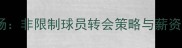 自由球员市场非限制球员转会策略与薪资结构全指南