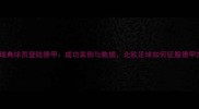 瑞典球员登陆德甲成功案例与数据北欧足球如何征服德甲