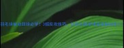 羽毛球被动回球必学3招反攻技巧让你从接发球变压制对手