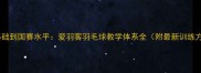 从零基础到国赛水平爱羽客羽毛球教学体系全附最新训练方案