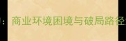乒乓球产业生态重构商业环境困境与破局路径深度最新数据版