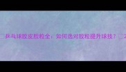 乒乓球胶皮胶粒全如何选对胶粒提升球技