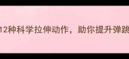 羽毛球运动必备12种科学拉伸动作助你提升弹跳力预防运动损伤