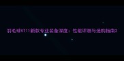 羽毛球VT11新款专业装备深度性能评测与选购指南