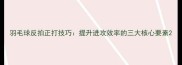 羽毛球反拍正打技巧提升进攻效率的三大核心要素