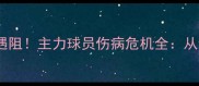 埃及男足世界杯征程遇阻主力球员伤病危机全从诊断报告到康复倒计时