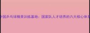 中国乒乓球精英训练基地国家队人才培养的六大核心体系