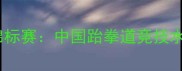全国跆拳道锦标赛中国跆拳道竞技水平再攀高峰