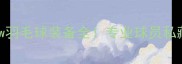 新手必看Leecw羽毛球装备全专业球员私藏装备清单大公开
