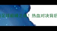 海防VS河内越南足球巅峰之战热血对决背后的战术与故事全
