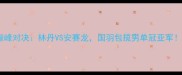 中国羽毛球公开赛巅峰对决林丹VS安赛龙国羽包揽男单冠亚军全网直击精彩瞬间