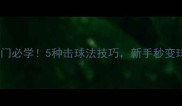 羽毛球入门必学5种击球法技巧新手秒变球场高手
