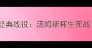 2005林丹羽毛球经典战役汤姆斯杯生死战背后的热血与传奇