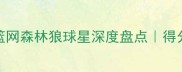 纽约NBA球员全尼克斯篮网森林狼球星深度盘点得分王防守专家保姆级攻略
