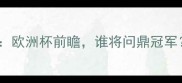乌克兰vs法国预测欧洲杯前瞻谁将问鼎冠军关键数据与战术
