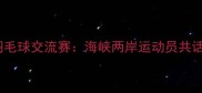 台北印尼羽毛球交流赛海峡两岸运动员共话羽球未来